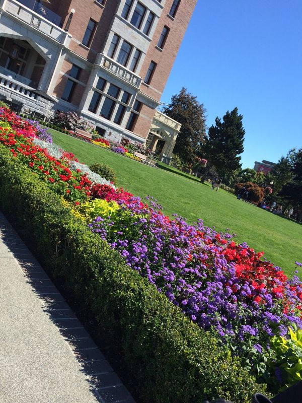 カナダ・バンクーバー「カナダ短期留学」の写真：ヴィクトリアも行ったやで😊