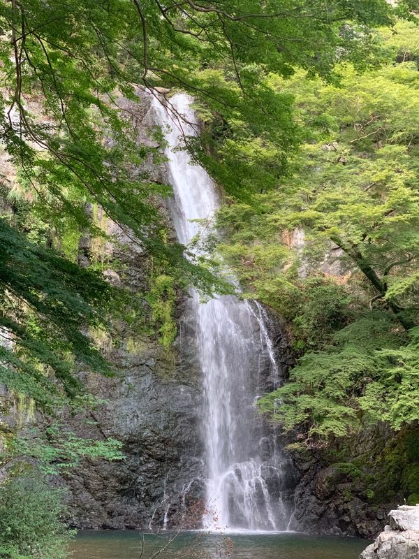 日本・箕面「箕面の滝」の写真：滝を見て心を癒しに…😶