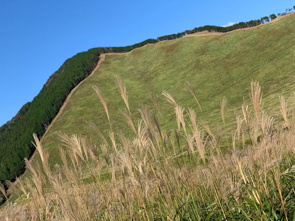日本・曽爾村「曽爾高原・若草山」の写真：奈良の絶景🤤