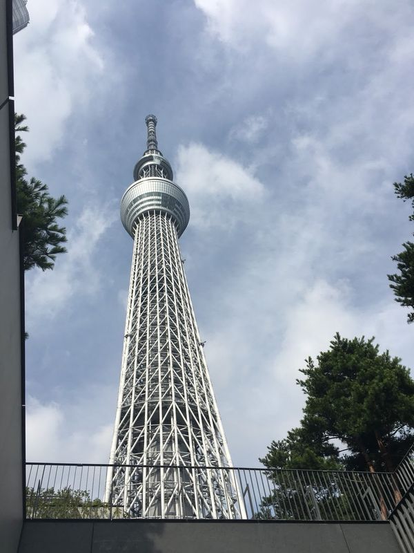 日本「東京旅行」の写真：東京の人の多さにはびっくり😳