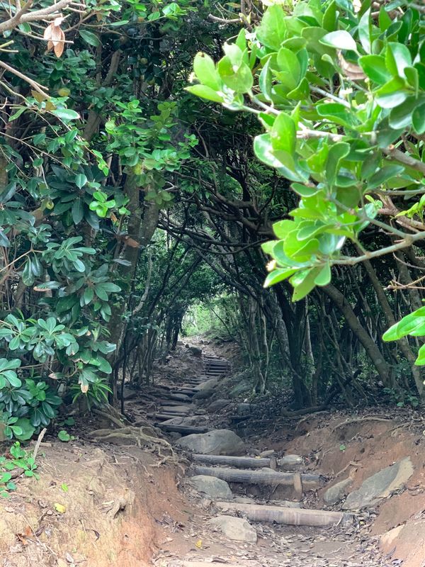 日本・博多「博多旅行」の写真：良い思い出でした