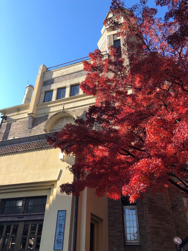 日本・長野県「長野🍁」の写真：綺麗な紅葉