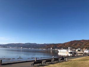 綺麗な紅葉