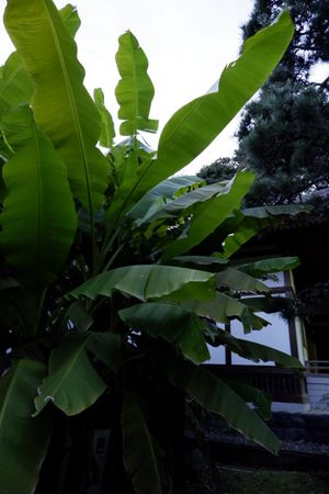 かんまん寺