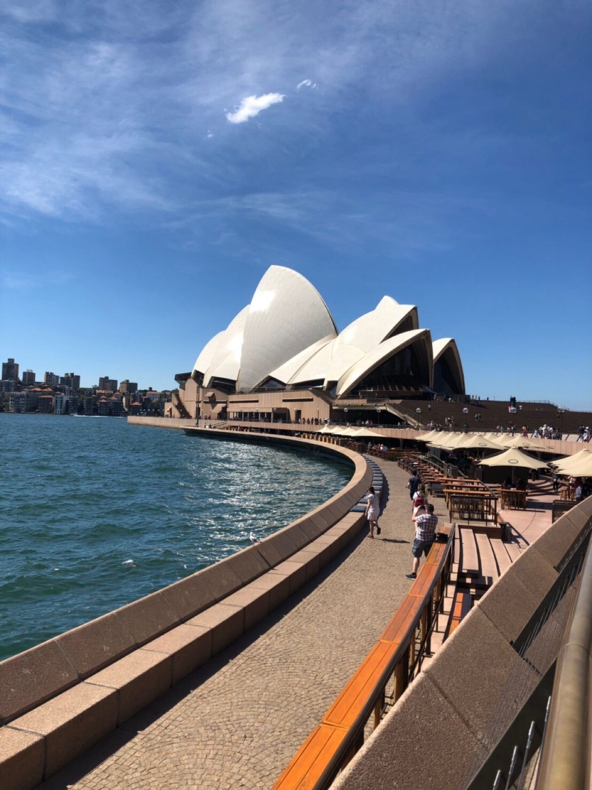 1: ブルーマウンテンのツアー最初の景色いい場所
2: ボランティア終わっ...