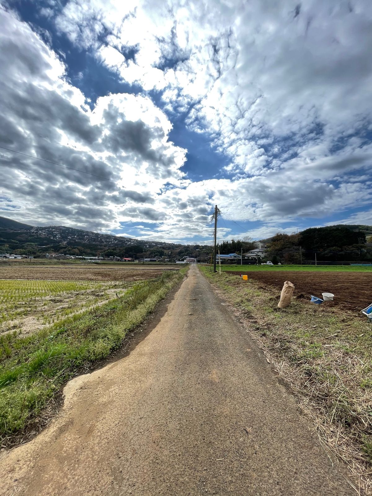 さつまいもホリホリ
超気持ちいい〜！！

伊豆丹那 酪農王国オラッチェ