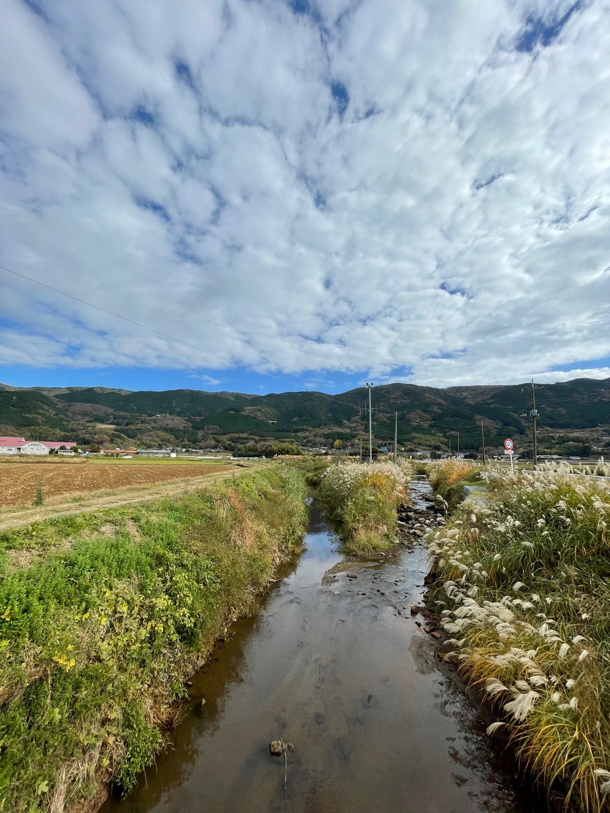 さつまいもホリホリ
超気持ちいい〜！！

伊豆丹那 酪農王国オラッチェ