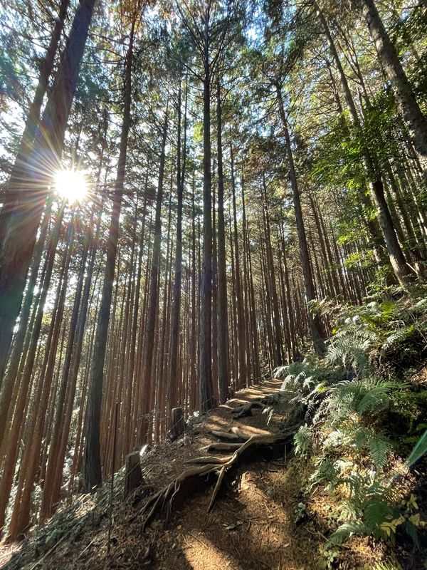 日本・熱海「熱海　家族小旅行」の写真：姫の沢公園

アスレチックコースがあり、...