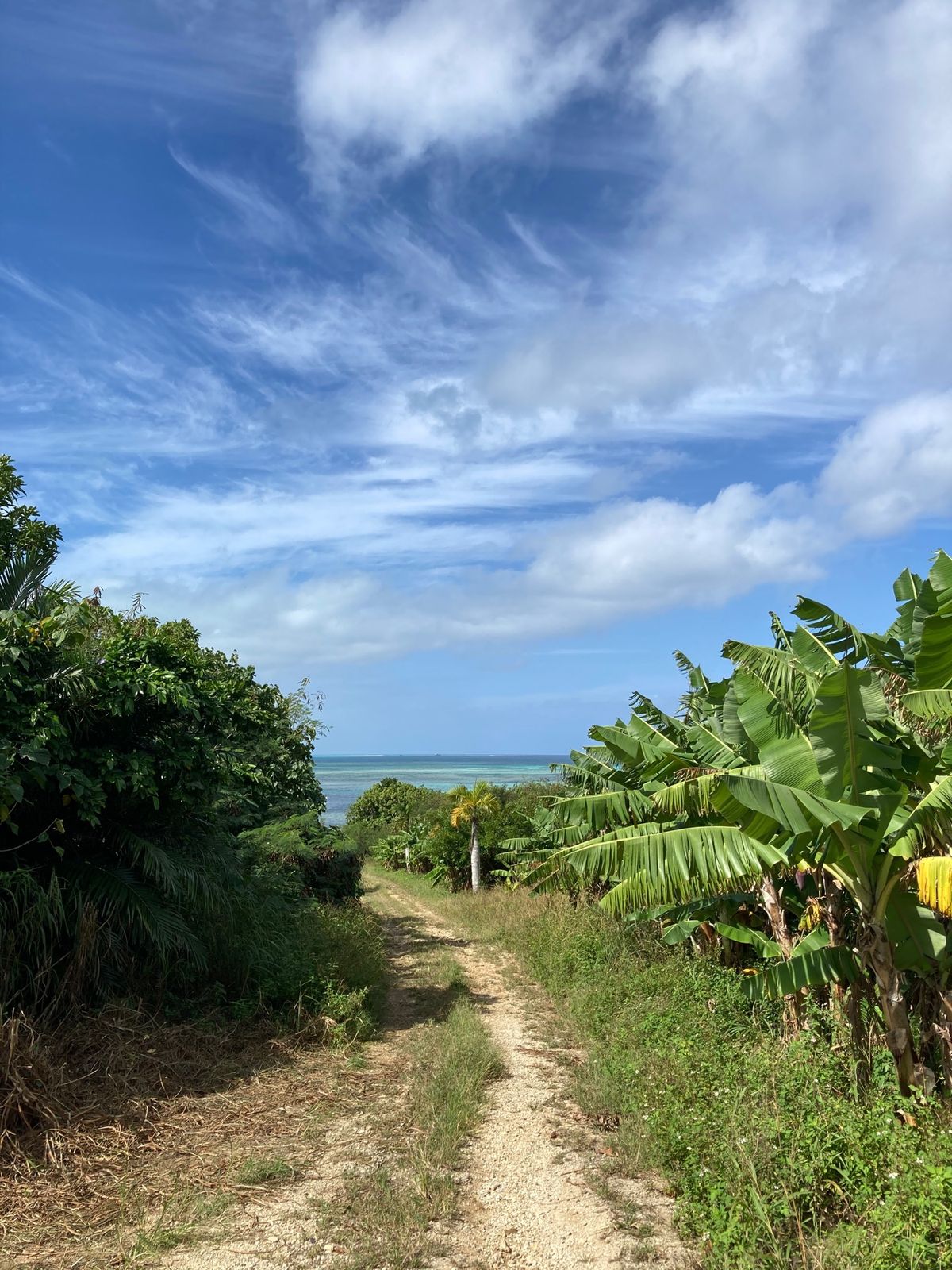 とにかく空が綺麗すぎた