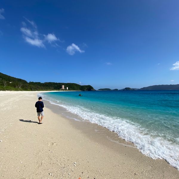 日本・座間味島「出張で行った座間味島」の写真：また行きたい！