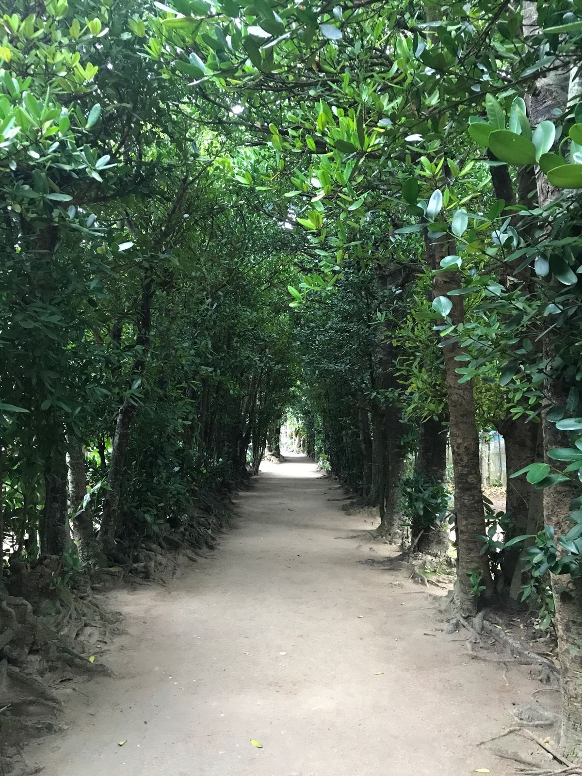 4日目①
朝は美浜アメリカンビレッジのポーたまにおにぎりを買いに行ったがな...