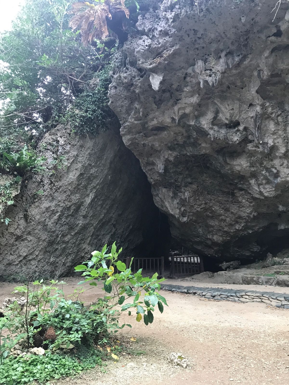 ４日目②
昼食後、これまた定番の古宇利島へ。
天気が悪かったのと古宇利島手...