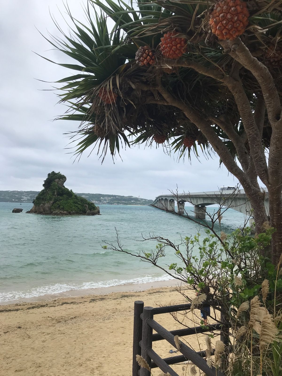 ４日目②
昼食後、これまた定番の古宇利島へ。
天気が悪かったのと古宇利島手...