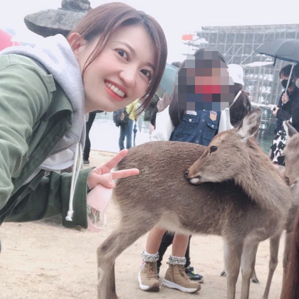 日本・広島　宮島　厳島神社　弥山　おりづるタワー「広島」の写真：宮島は初めて。なんと厳島神社の大鳥居は修...