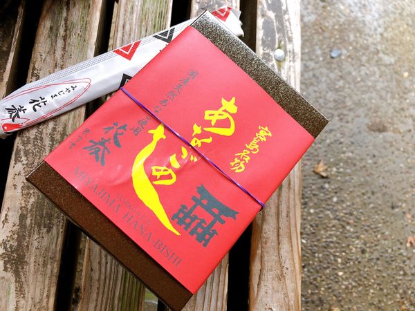 日本・広島　宮島　厳島神社　弥山　おりづるタワー「広島」の写真：あなごめしをゲットし弥山へ。
ロープウェ...