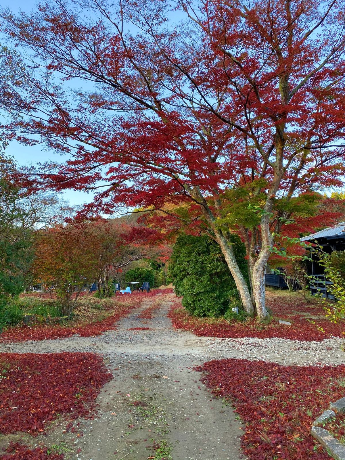 ドイツ村→花山水