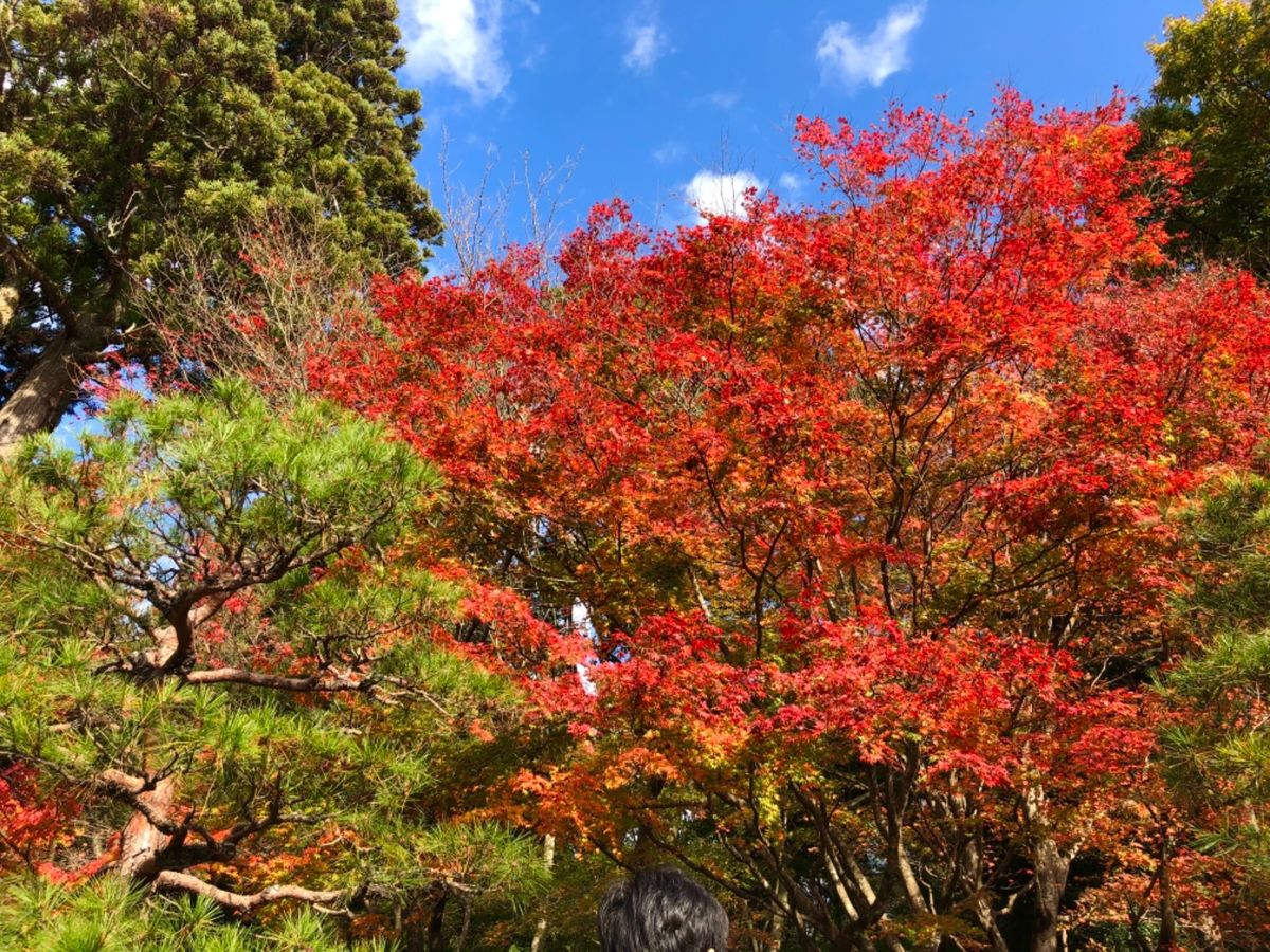 湖東三山の一つ百済寺