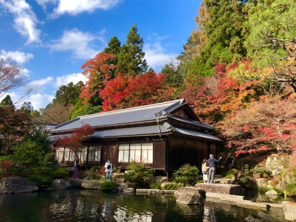 日本・滋賀県「湖東三山紅葉狩り」の写真：湖東三山の一つ百済寺