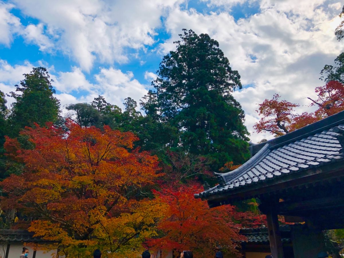 湖東三山の一つ西明寺