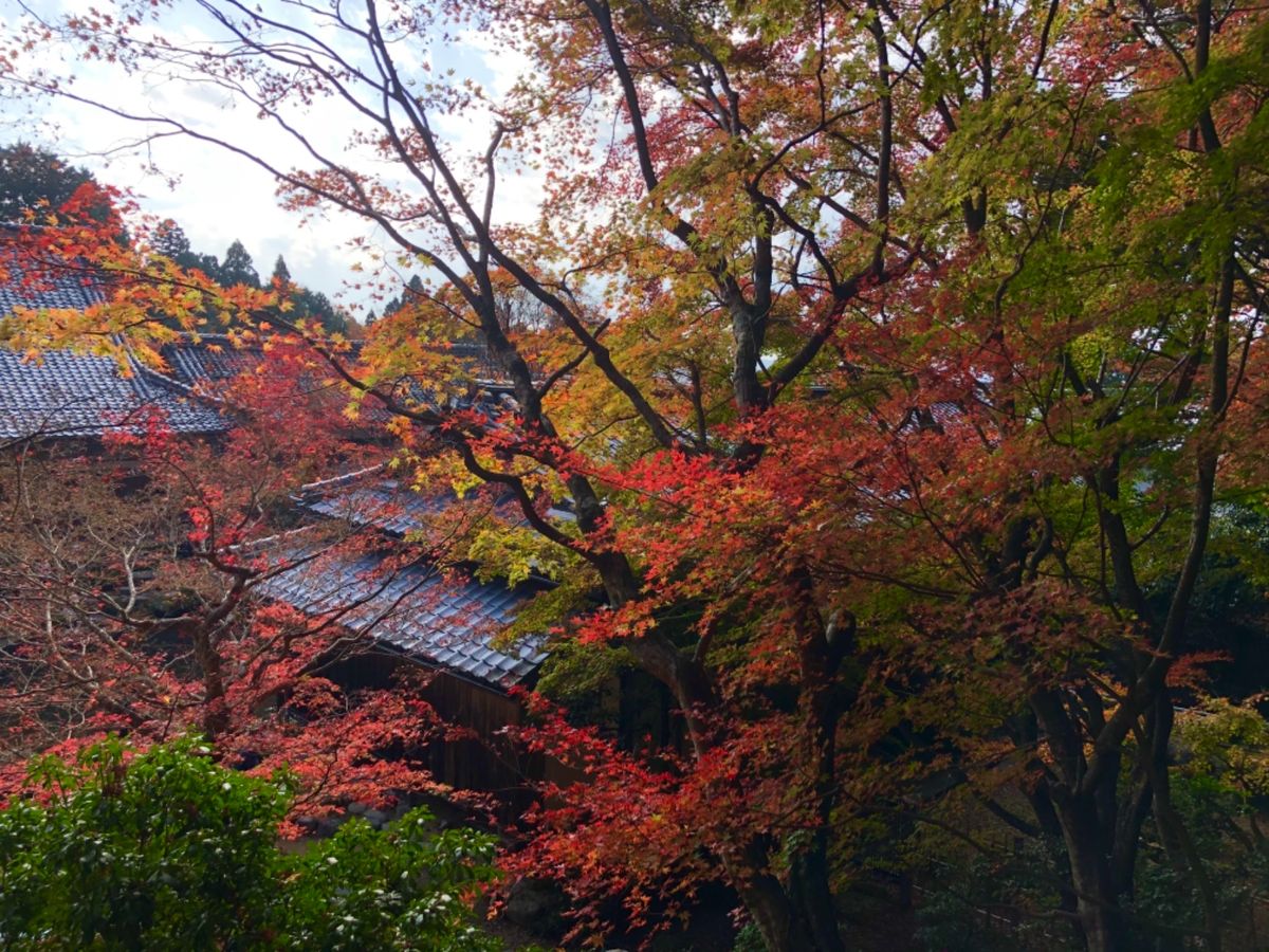 湖東三山の一つ百済寺