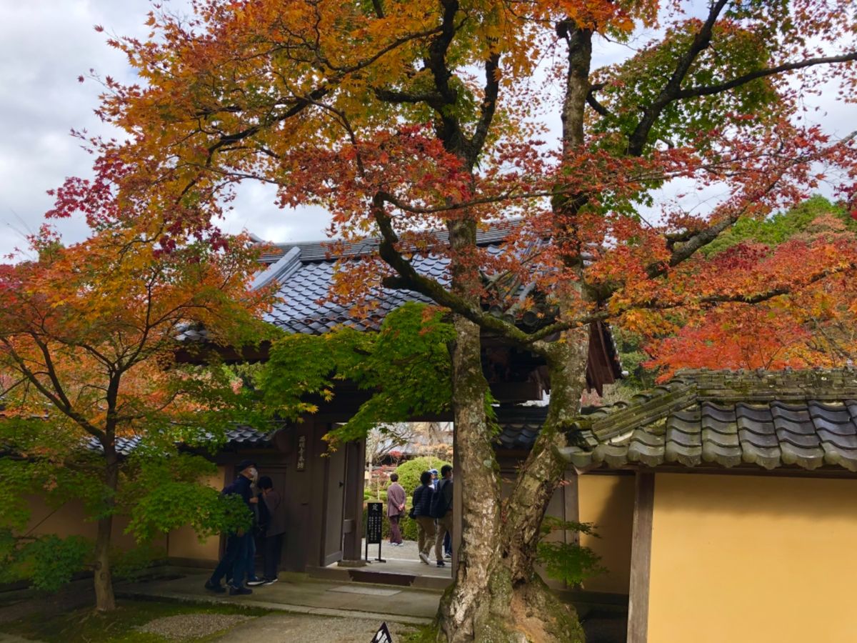 湖東三山の一つ西明寺