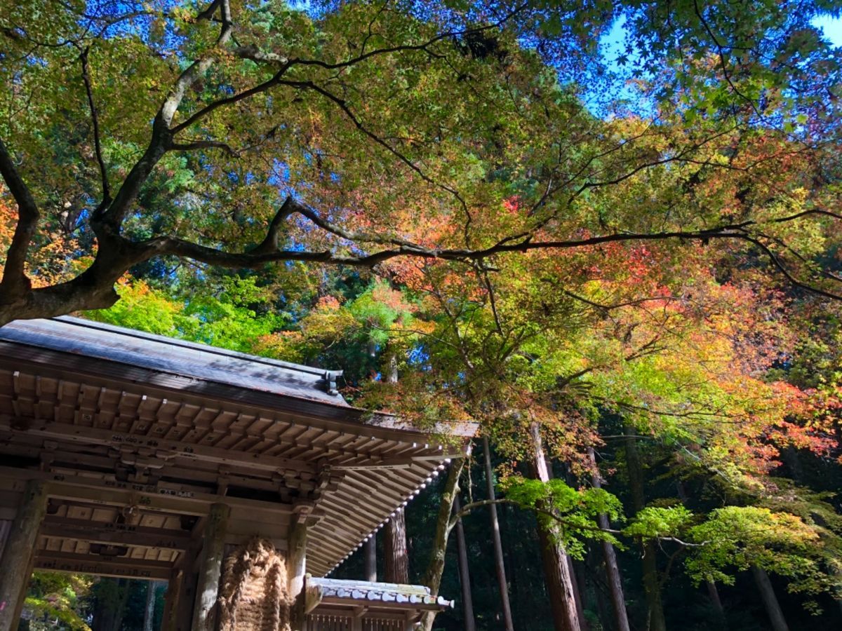 湖東三山の一つ百済寺