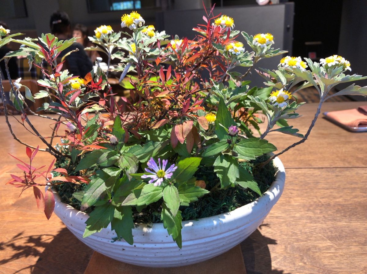 カフェタイムはクラブハリエ。八日市の杜。