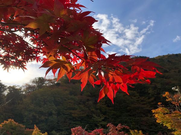 日本「那須」の写真