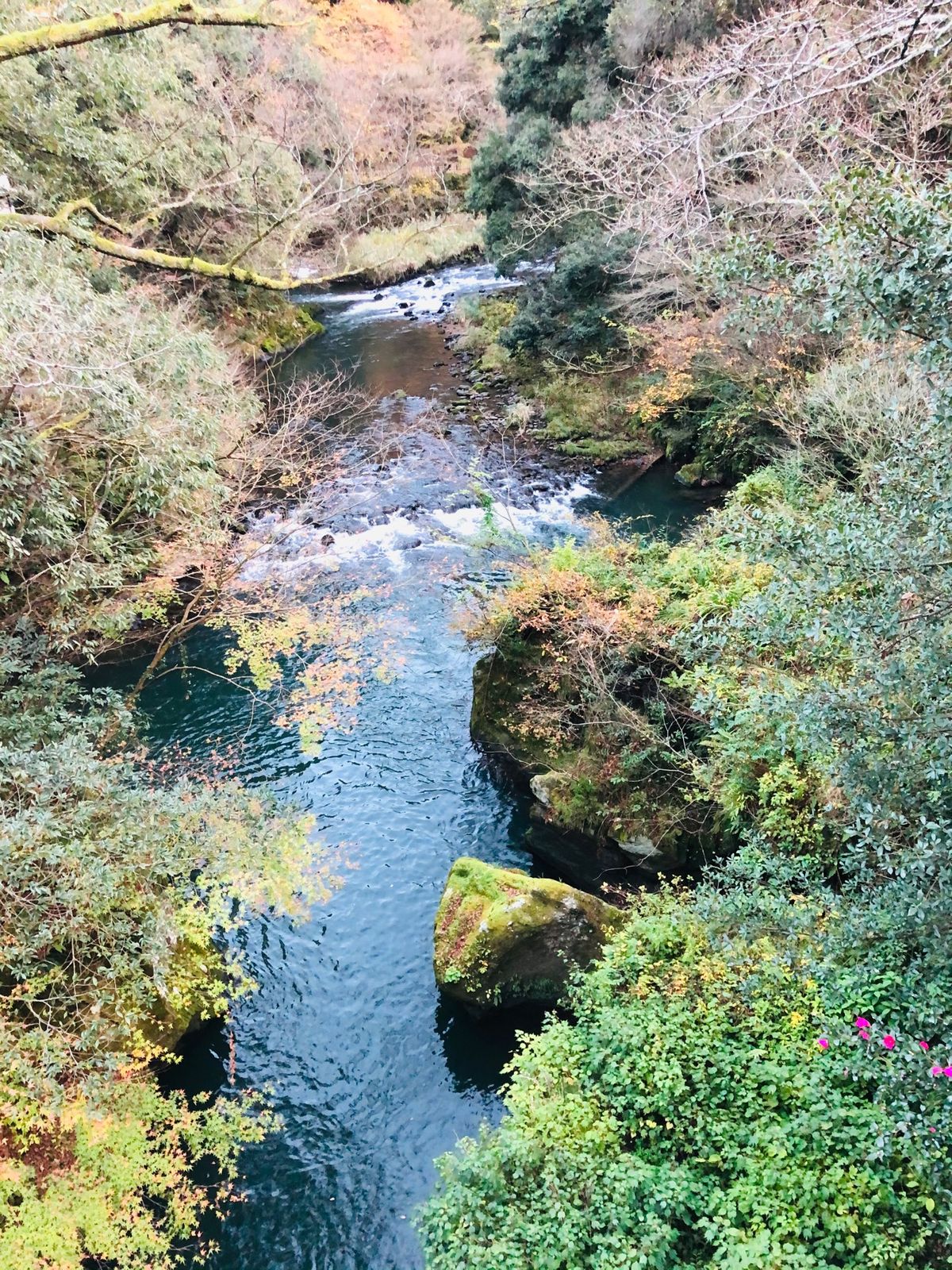 お宿は「花紫」。
こんな時期なので露天風呂付のお部屋に宿泊しました。
が、...