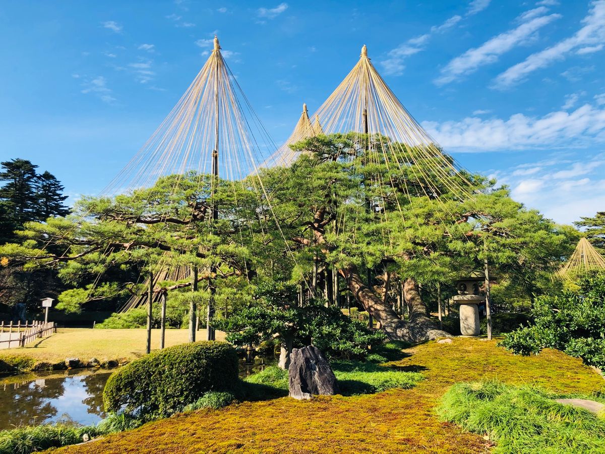 サンダーバードで金沢へ。
寒さも和らぎ、お天気に恵まれた一日でした。
兼六...