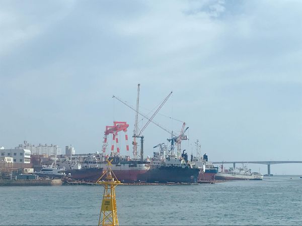 大韓民国 (韓国)・釜山「Jeju Air」の写真