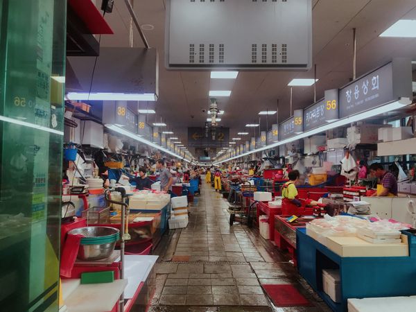 大韓民国 (韓国)・釜山「Jeju Air」の写真