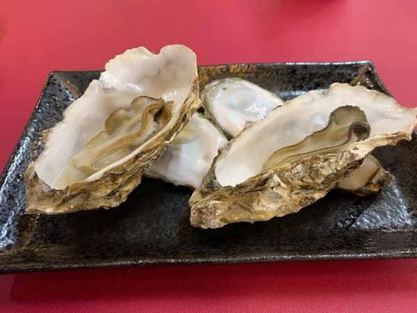 日本・北海道「小樽冬の旅」の写真