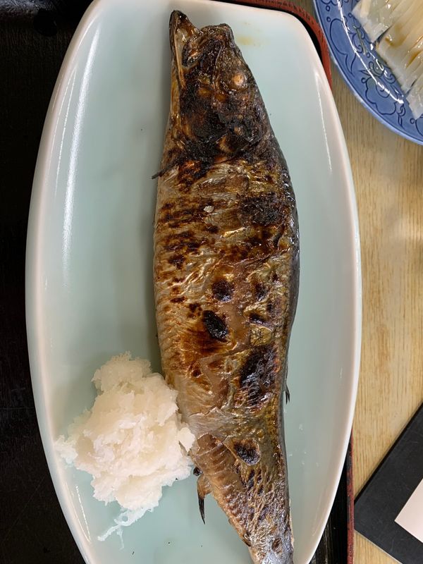 日本・北海道「小樽冬の旅」の写真