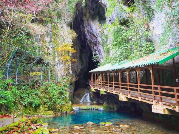 日本「山口、島根旅」の写真：秋芳洞