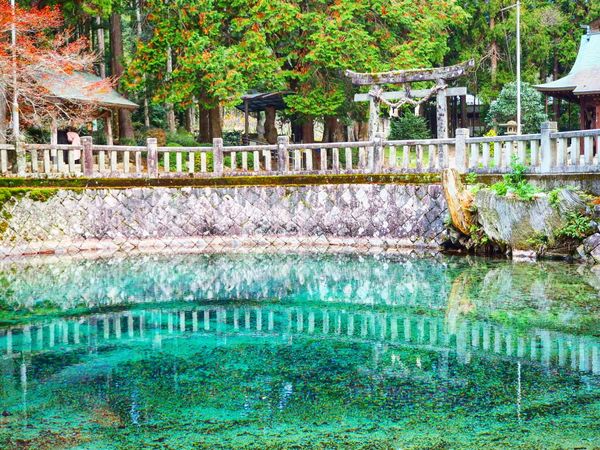 日本「山口、島根旅」の写真：別府弁天池