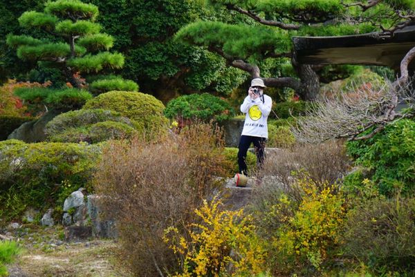 日本「山口、島根旅」の写真：毛利邸で盗撮された