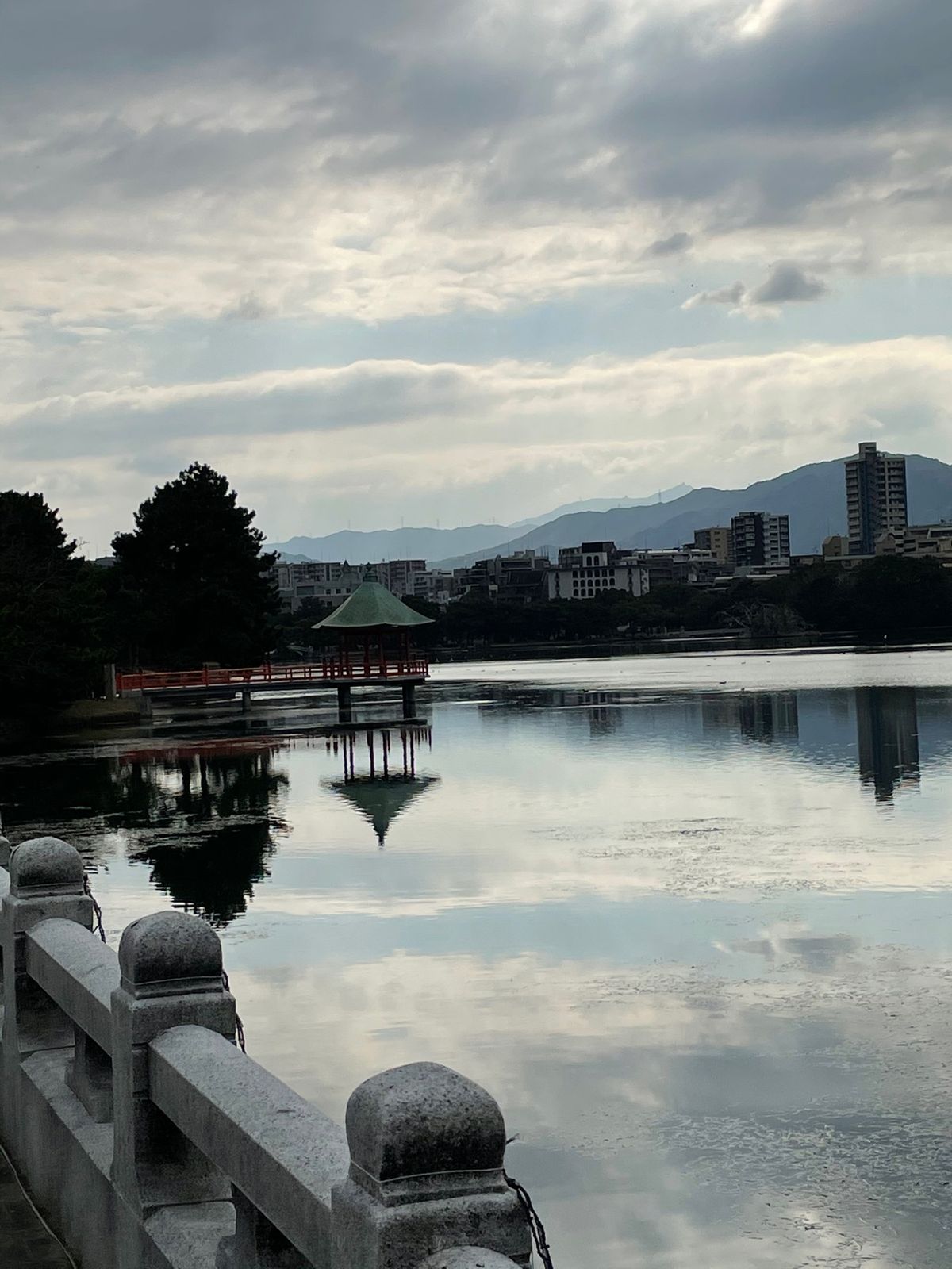 #大濠公園
鳥がめっちゃいた🦆