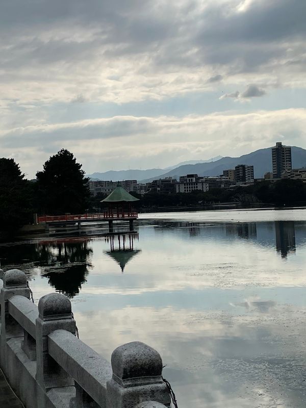 日本・福岡「GoTo福岡」の写真：#大濠公園
鳥がめっちゃいた🦆
