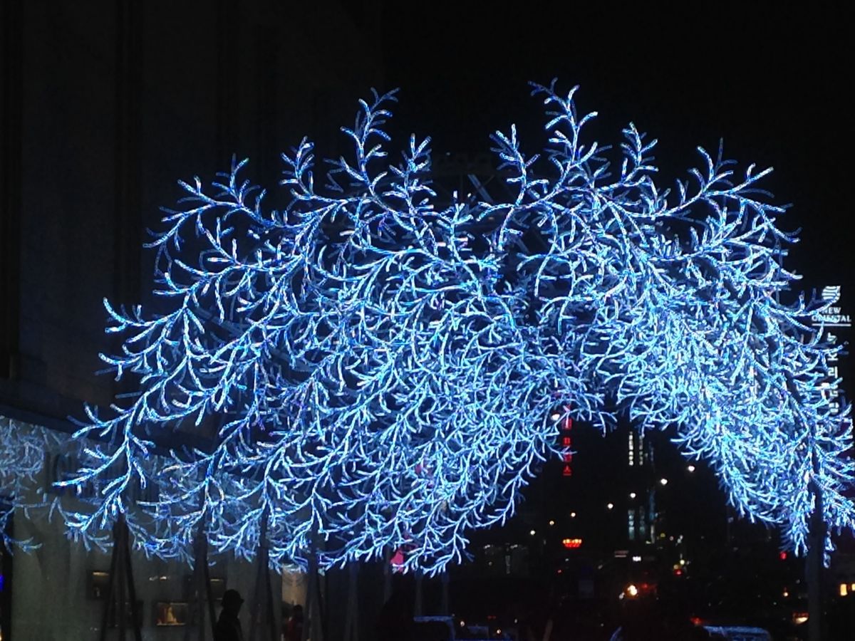 ロッテ百貨店のヤング館