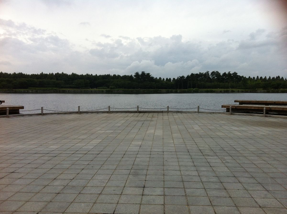 公園。実はめちゃくちゃ大きかった。