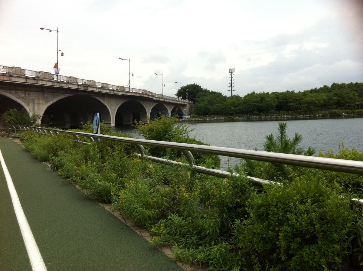 公園。実はめちゃくちゃ大きかった。