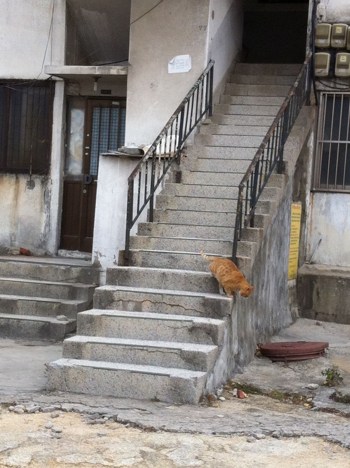 思い出せない…💦💦💦