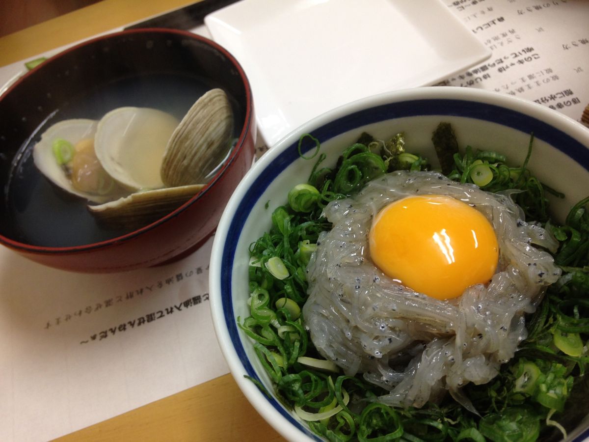 網焼きやしらす丼