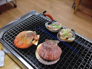 網焼きやしらす丼