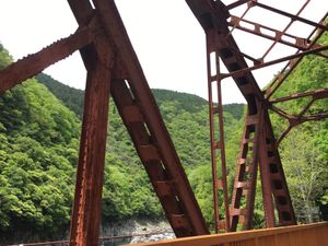 廃線を歩きます。
トンネルは真っ暗で、懐中電灯がないと進めません。