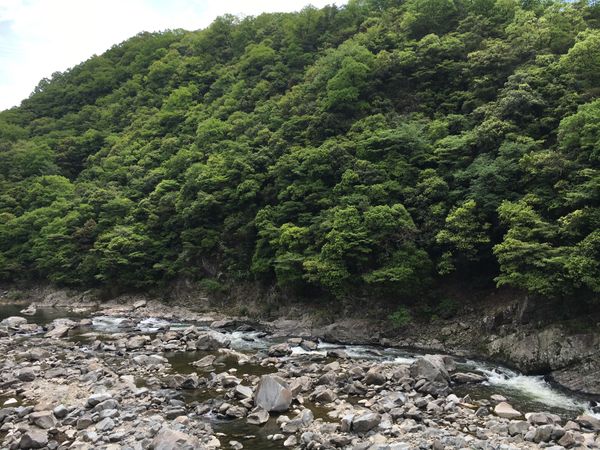 日本・宝塚市「ハイキング」の写真