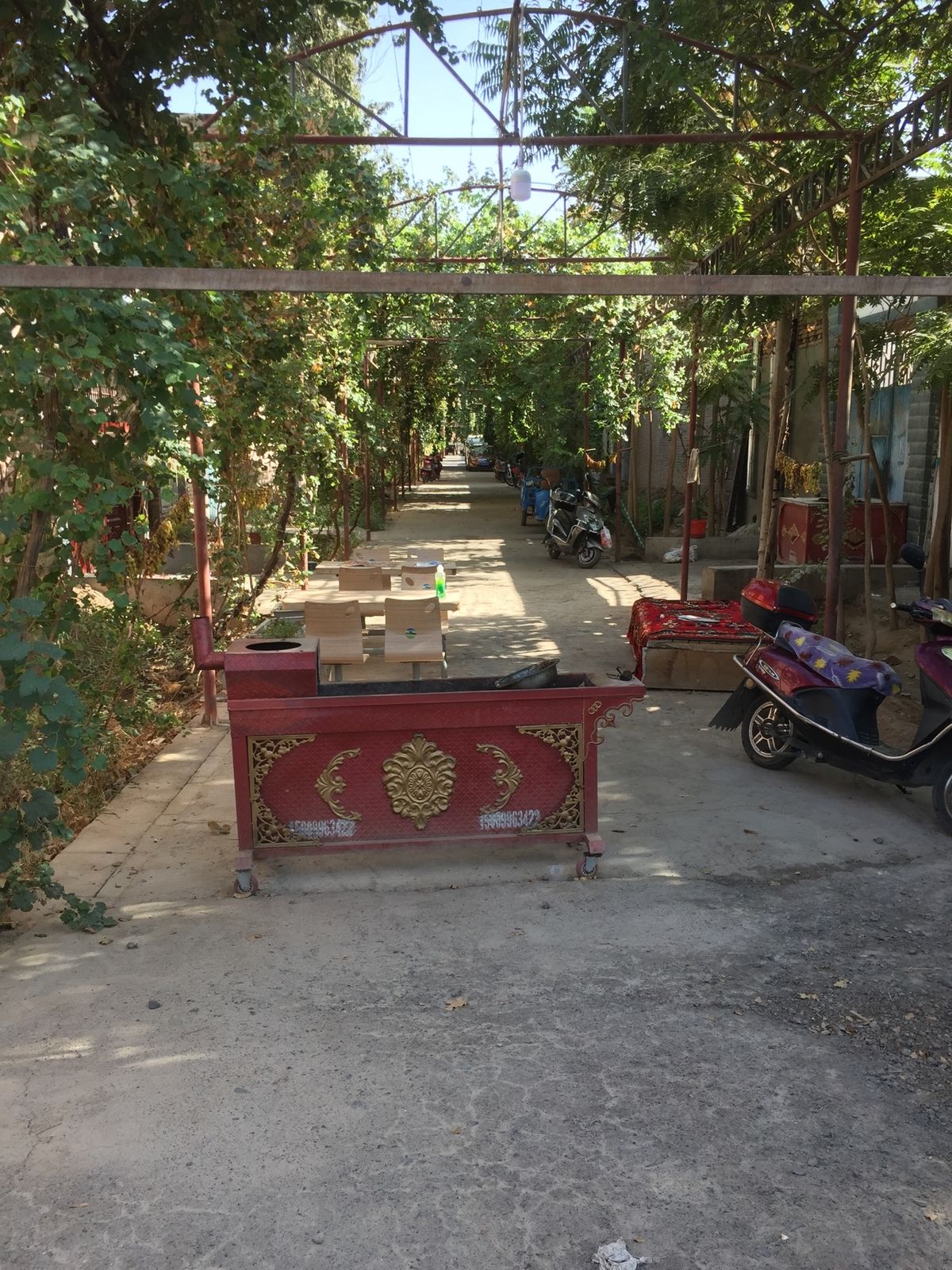 1ヶ月間で中国からイタリアまでのシルクロード 旅をしました。世界一内陸にあ...