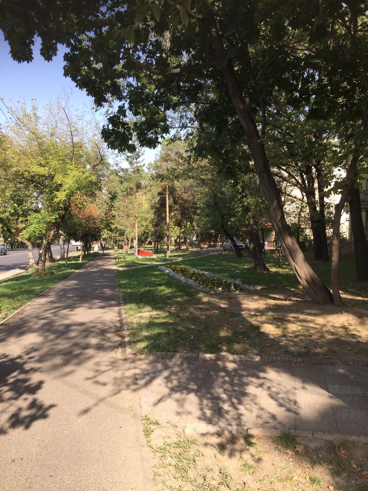 ウルムチからバスで30時間移動して、アルマトイに滞在しました。冬はめっちゃ...