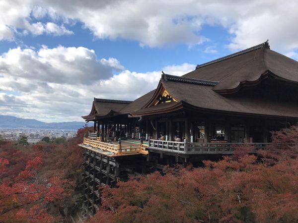 日本・京都「hanging out day 🇯🇵🚴‍♂️came to 京都 東編」の写真